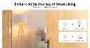SONOFF Zigbee Door/Window Sensor