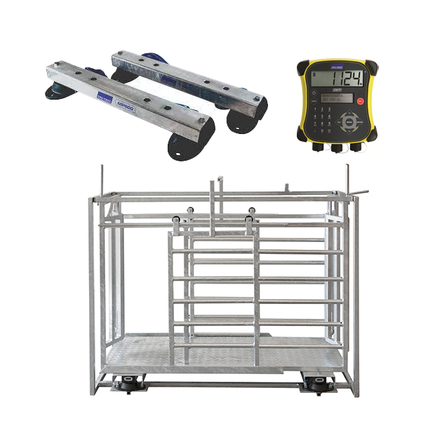 RFID Sheep Manual Drafter 3 Way Galvanised + MP600 + JR5000