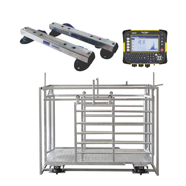 RFID Sheep Manual Drafter 3 Way Galvinised + MP600 TrueTest XR5000