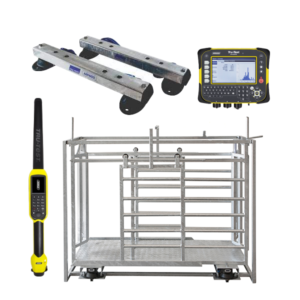 RFID Sheep Manual Drafter 3 Way Galvanised + MP600 + XR5000 + XRS2i