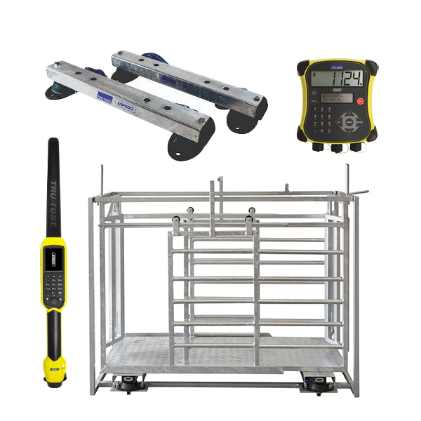 RFID Sheep Manual Drafter 3 Way Galvanised + MP600 + JR5000 + XRS2i