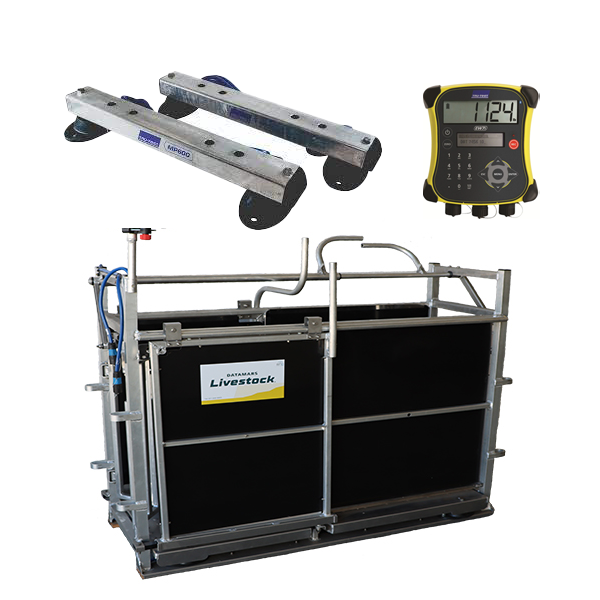 RFID Sheep Manual Drafter 3 Way Aluminium + MP600 + JR5000