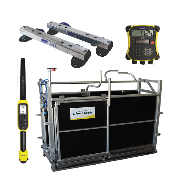 [AXS] RFID Sheep Manual Drafter 3 Way Aluminium+ MP600 + XR5000 + SRS2