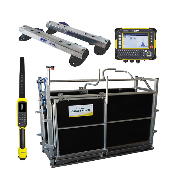 RFID Sheep Manual Drafter 3 Way Aluminium+ MP600 + XR5000 + XRS2