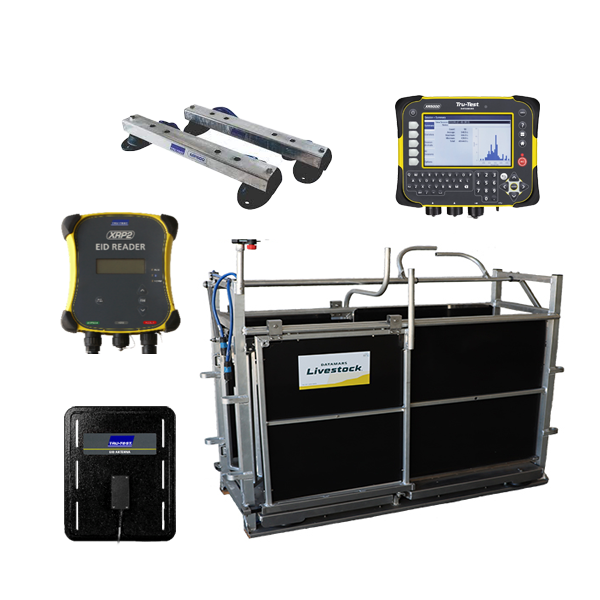 [AXXA] RFID Sheep Manual Drafter 3 Way Aluminium+ MP600 + XR5000 + XRP2 + Sheep Antenna