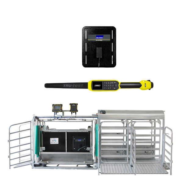 RFID SHEEP AUTO DRAFTER WITH 5 WAY SORT +  XR5000 Indicator & XRP2 & Sheep Antenna