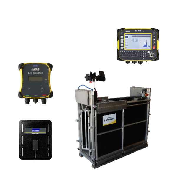 RFID SHEEP AUTOMATIC DRAFTER WITH 3 WAY SORT + XRP2 Panel Reader + Sheep Antenna, XR5000
