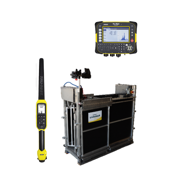 RFID SHEEP AUTOMATIC DRAFTER WITH 3 WAY SORT + XRS2, XR5000