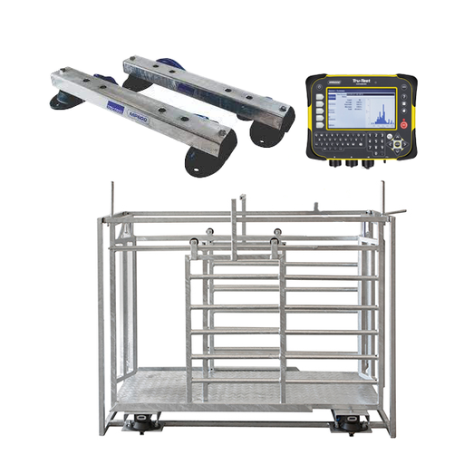 [GXN] RFID Sheep Manual Drafter 3 Way Galvinised + MP600 TrueTest XR5000